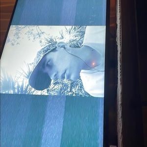 Meet your Posher, Ayden